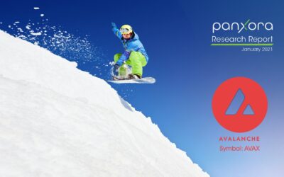 RMaaS Risk Management Now Available for AVAX- the native token for the Avalanche blockchain