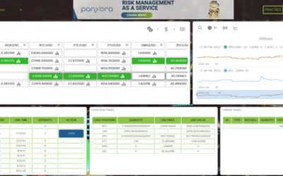 Release notes for Web UI – https://app.imers.land/ – Charting Version 6.0