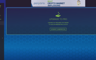 Release notes for Web UI – https://app.imers.land/ – Mobile Friendly, Private Competitions, Cash Out IMERS Version 6.3.295 Copy